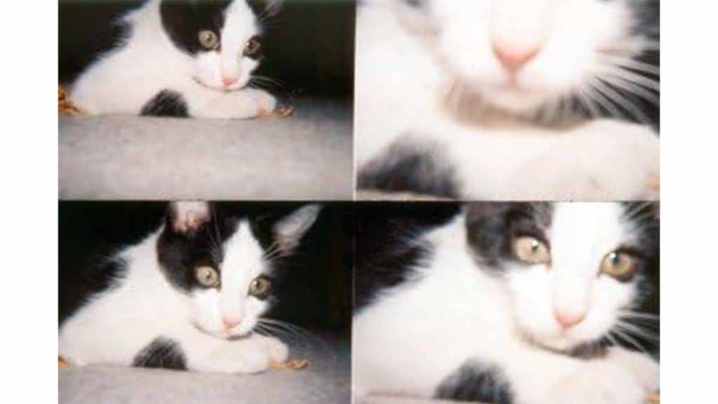Cámara Lomography Action Sampler