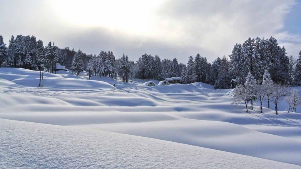 fotografiar la nieve