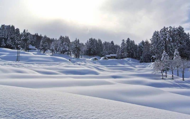 fotografiar la nieve