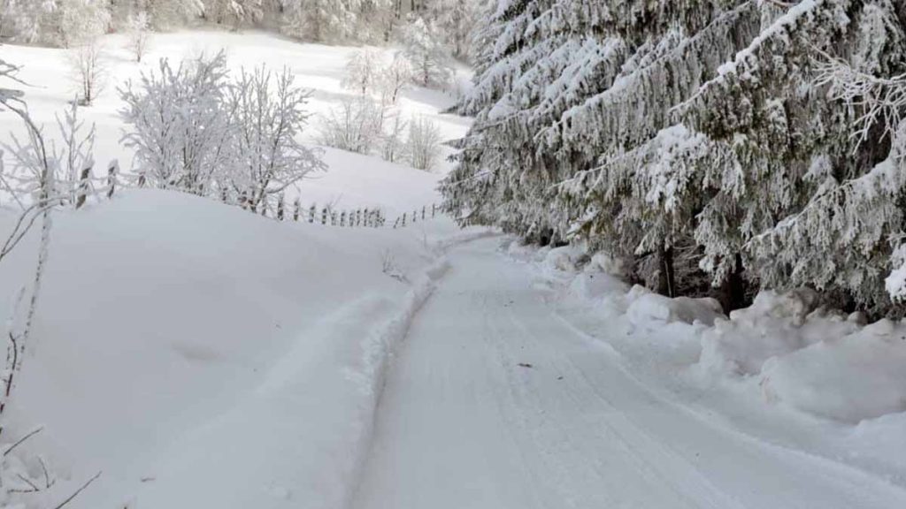 fotografiar la nieve