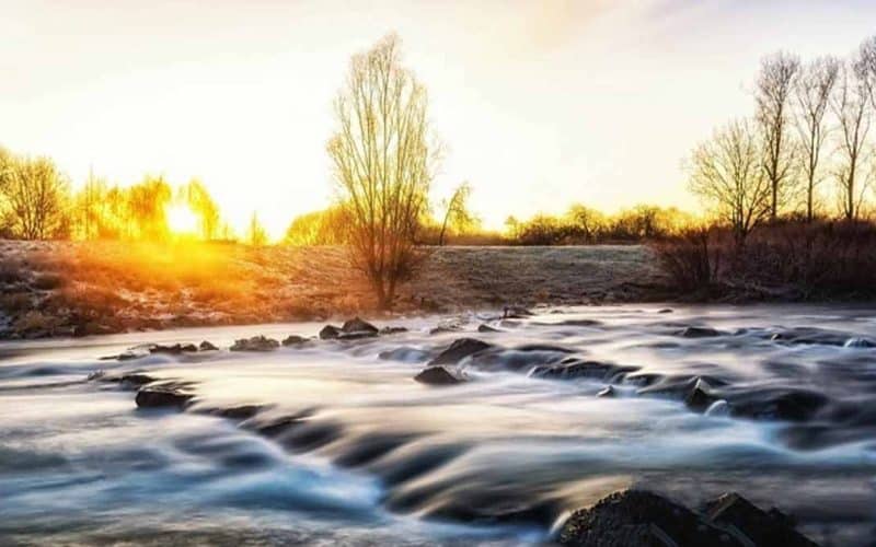 fotografía de naturaleza